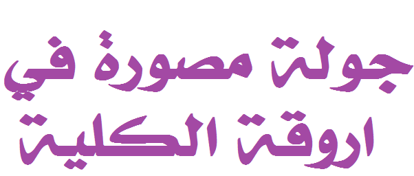 جولة مصورة في اروقة الكلية